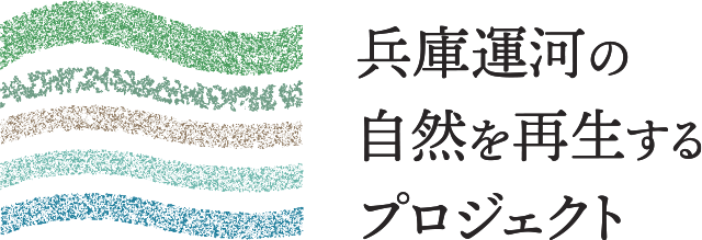 兵庫運河の自然を再生するプロジェクト